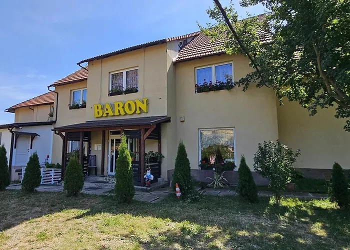 Pensiunea Baron Bazna